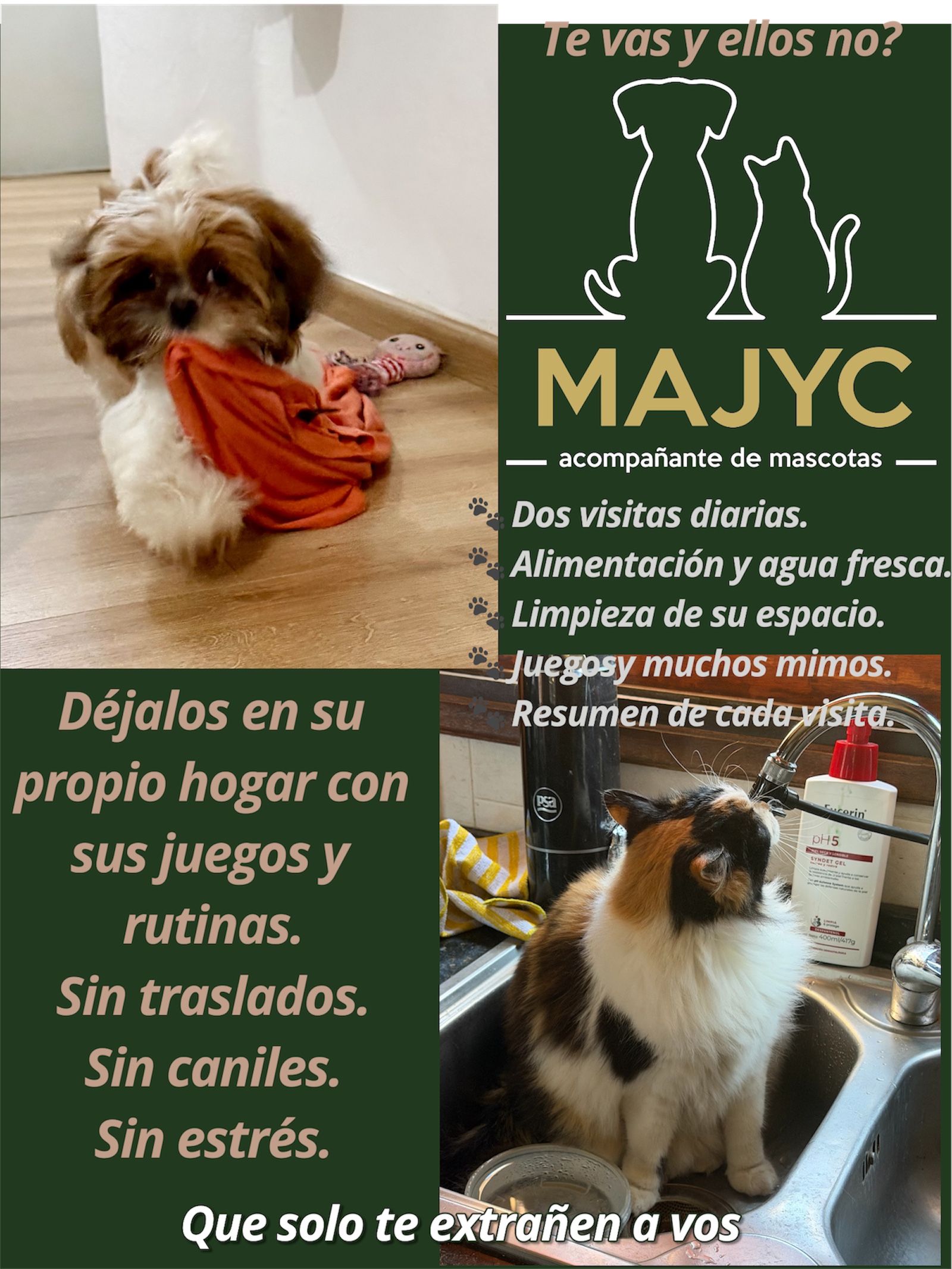 MAJyC petsitter