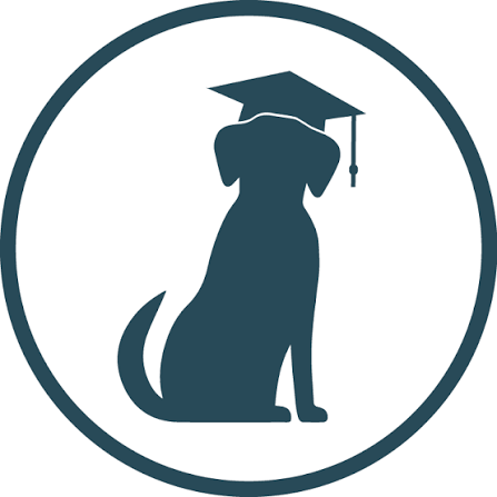 Educando Mi Perro