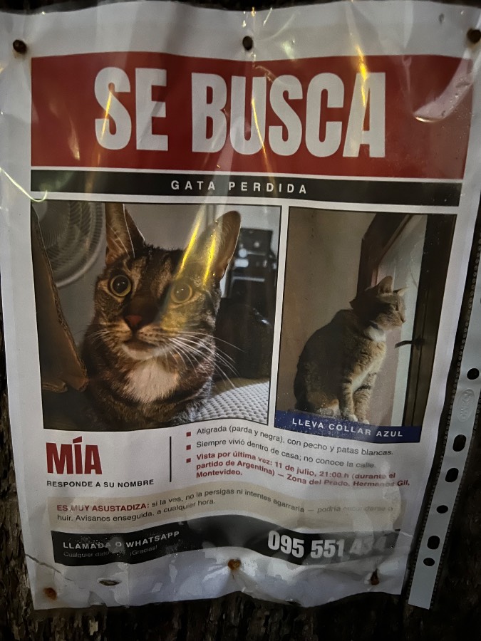 Mía