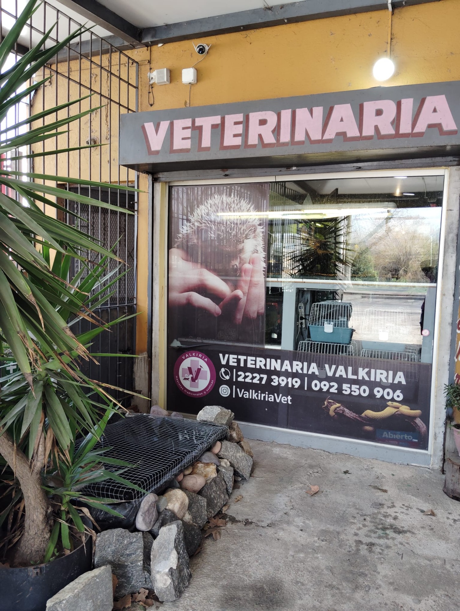 Veterinaria Valkiria