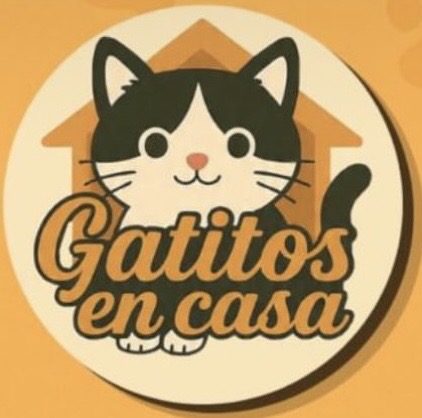 Gatitos en casa