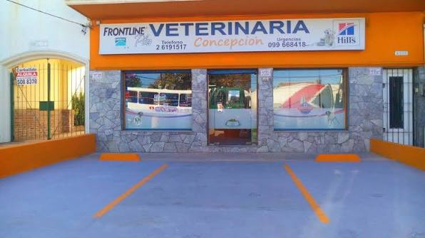 Veterinaria Concepción