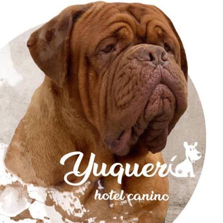 Yuqueri Hotel Canino