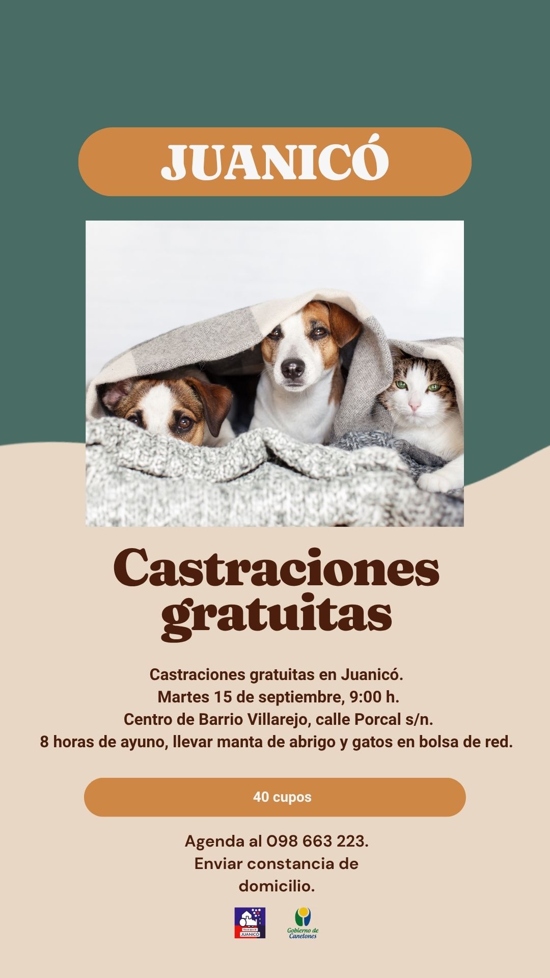 Castraciones gratuitas en Juanicó