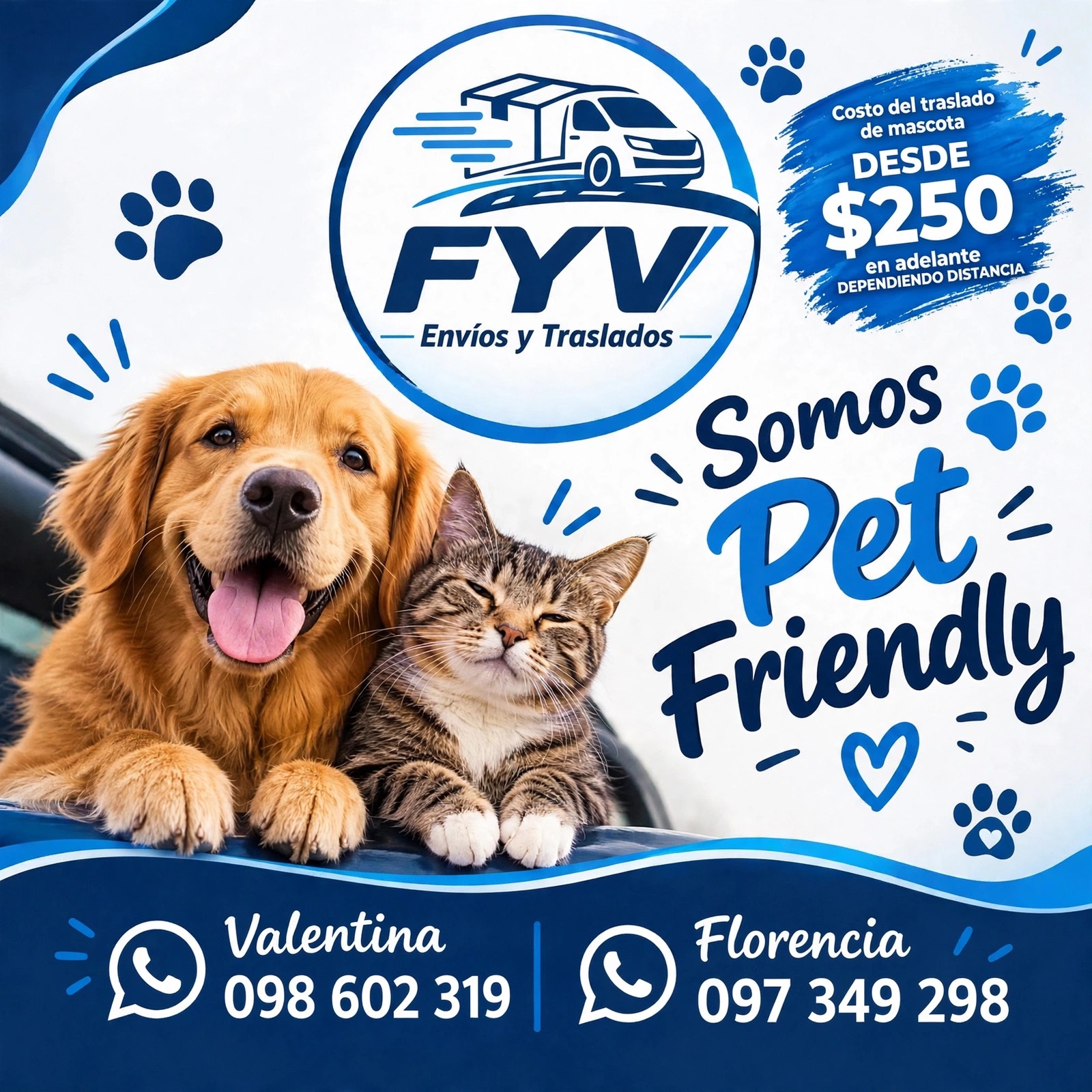 FyVenvios