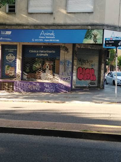 Animals Veterinaria