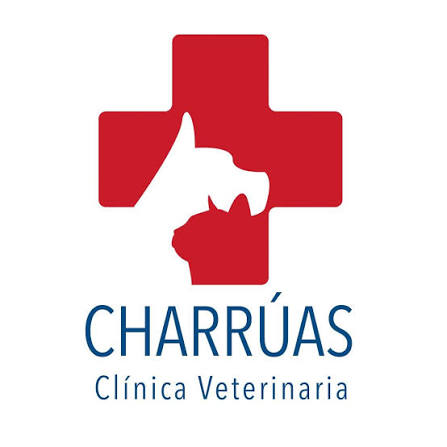 Veterinaria Charruas