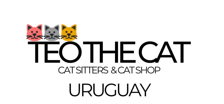 Cuidado de gatos a domicilio - TEO THE CAT