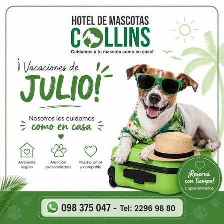 Hotel de Mascotas Collins