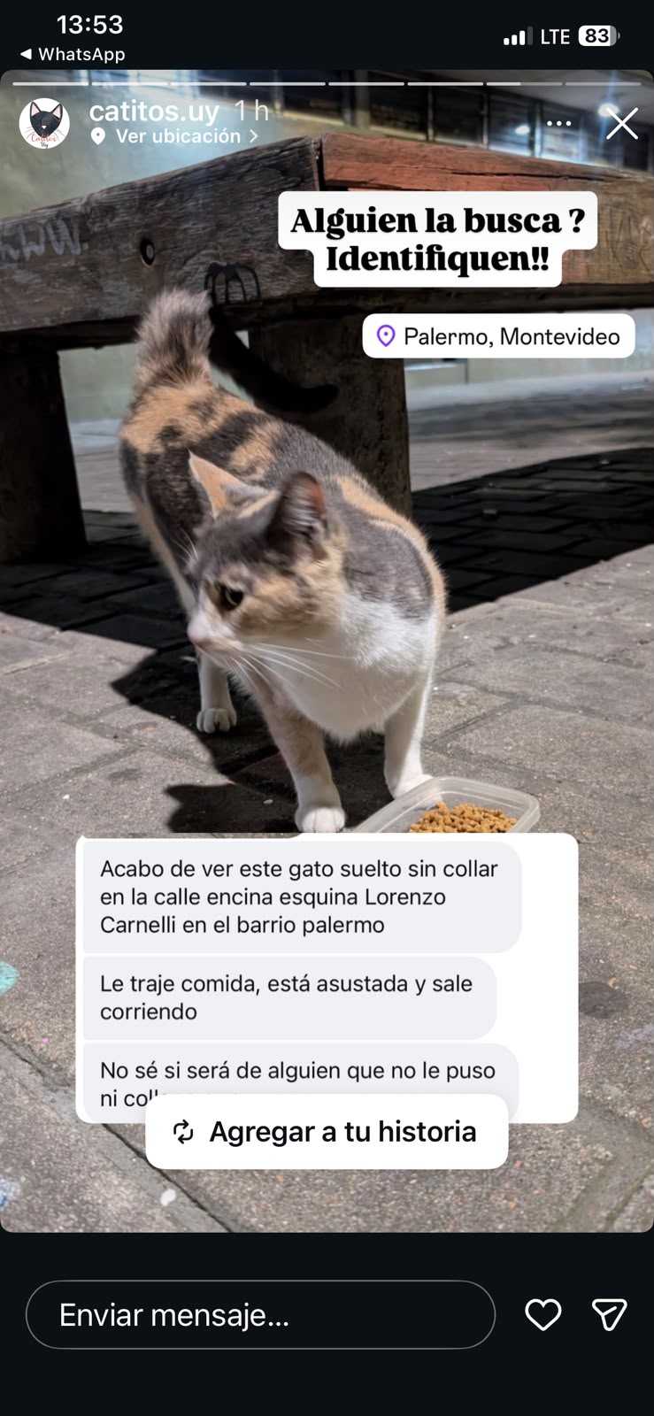 Gata