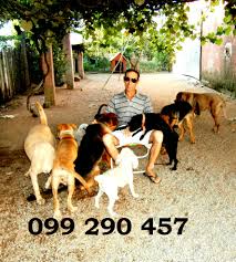 Pensionado Canino J.F.