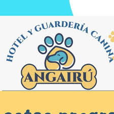 Angairu Hotel Canino