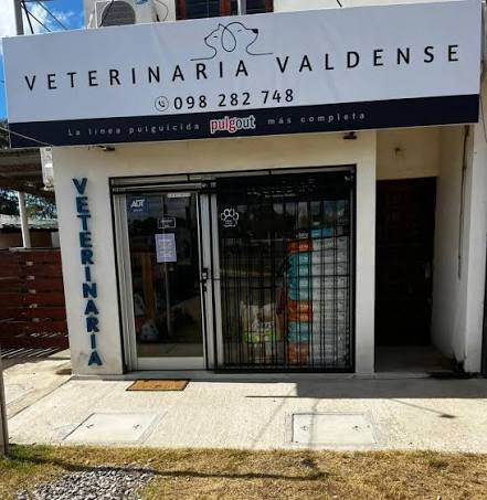 Veterinaria Valdense