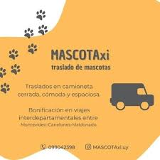 Mascotaxi