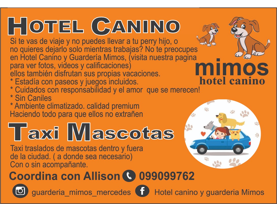 Mimos Hotel Canino