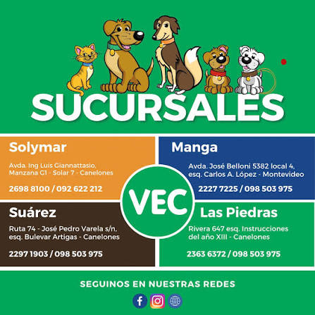 Veterinaria VEC